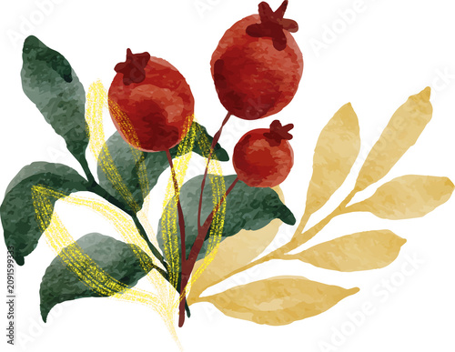 Watercolor botanical arrangement with red berries and golden accents