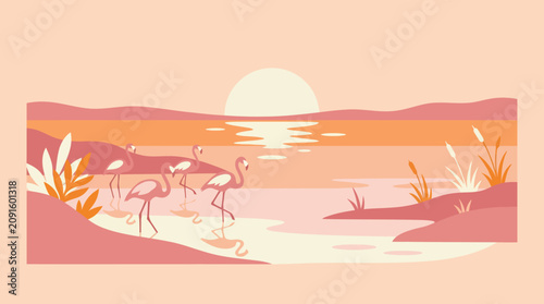 Pink flamingos standing in water during sunset.