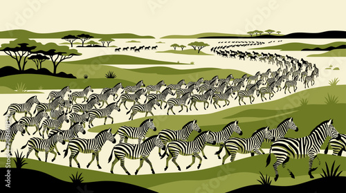 Large zebra herd migrating across grassy plains