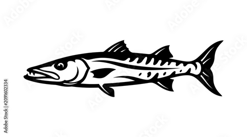 Photos Silhouette of a Barracuda Fish with Sharp Teeth, Isolated on White Background