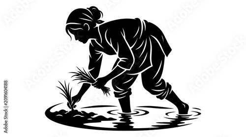 Foto Farmer Planting Rice Seedlings in Water Silhouette