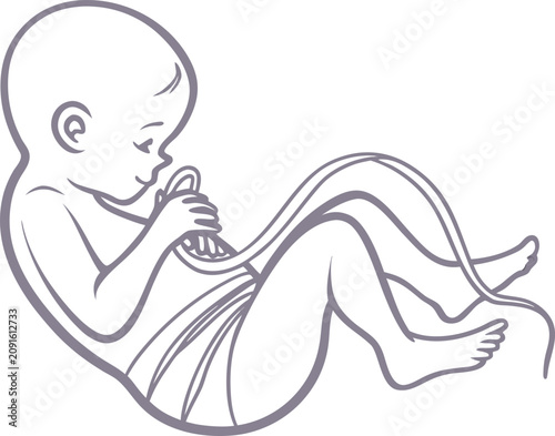 Minimalist line art illustration featuring a delicate fetus connected to an umbilical cord in profile view