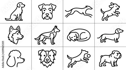 Artistic dog sketches and breed head icons.