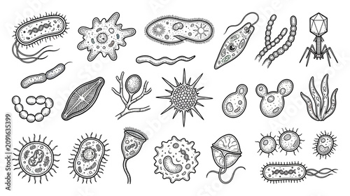 Foto Microscopic Organisms Collection: Bacteria, Virus, Amoeba, Paramecium, Algae
