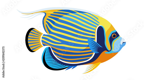 Emperor Angelfish, Tropical Marine Fish, Vibrant Blue and Yellow Stripes, Isolated
