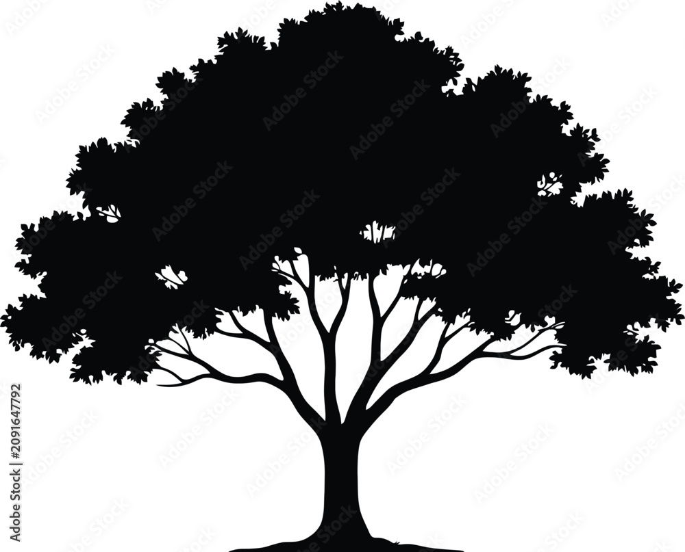 Fototapeta premium Elegant Broadleaf Tree Silhouette Vector Illustration Isolated on White Background for Nature Landscape Branding Logo Design Creative Projects
