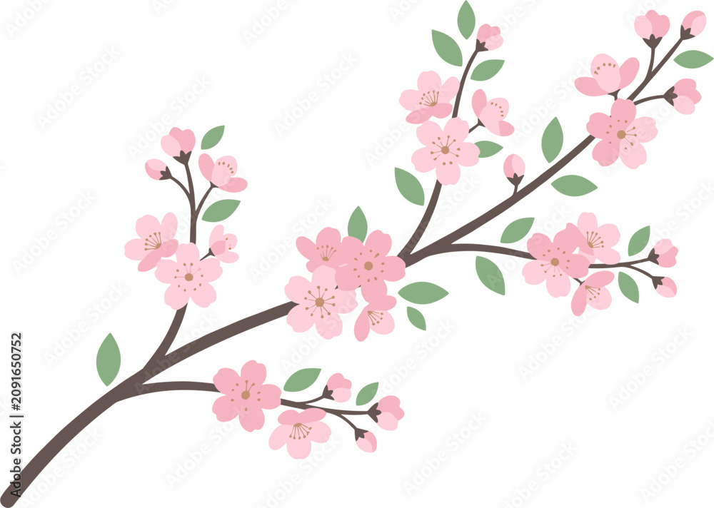 Fototapeta premium Pink cherry blossom branch with green leaves
