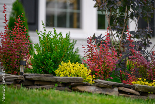 Landscaped Garden Bed with Shrubs and Walkway in Front of a Suburban House