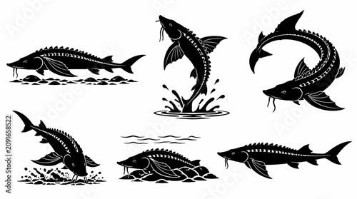 Set of Sturgeon Fish Silhouettes in Various Dynamic Poses