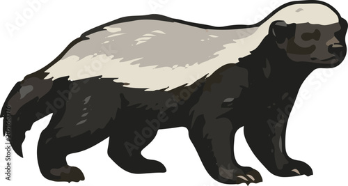 Animal vector nature wild life
