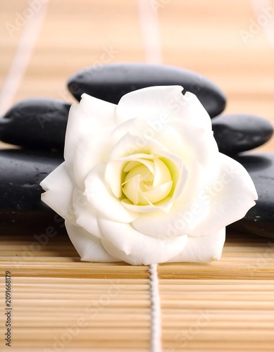 Elegant White Rose Resting on Black Spa Stones on Bamboo Mat