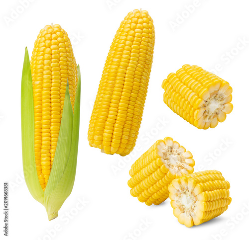 Foto Close-up of Yellow Sweet Corn with Husk and Cut Corn Segments on White Backgroun