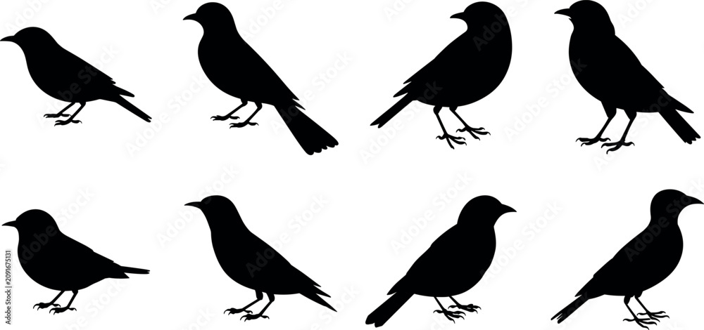 Fototapeta premium Title: Bird silhouette vector set with various standing poses for nature emblem designs wildlife logos and commercial branding projects