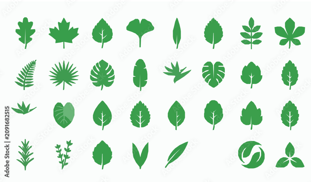 Fototapeta premium Leaf Icon Set Vector Green Flat Nature Plant Botanical Foliage Silhouette Illustration Collection for Eco Design