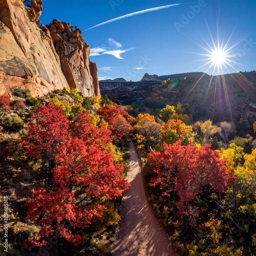 Colorful Autumn Path Through Rocky Canyon with Sun Shining