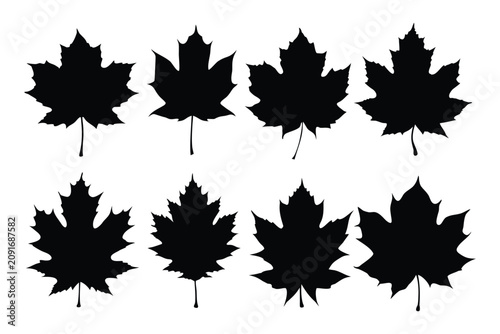 Set of maple leaf silhouettes, Autumn leaves vector illustration