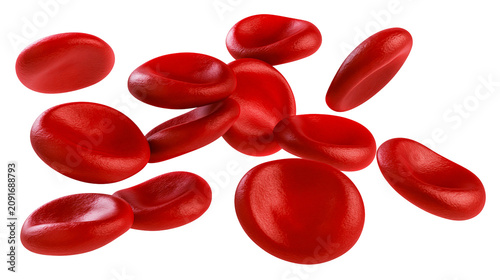 Bild auf Leinwand Red blood cells biconcave discs floating in fluid, isolated on transparent backg