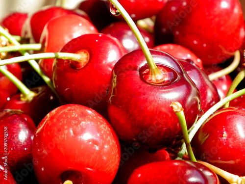 Fresh Ripe Red Cherries with Stems Close Up