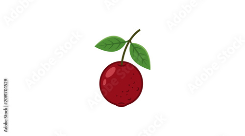 Flat vector illustration of fresh red cranberries with green leaves isolated on white background