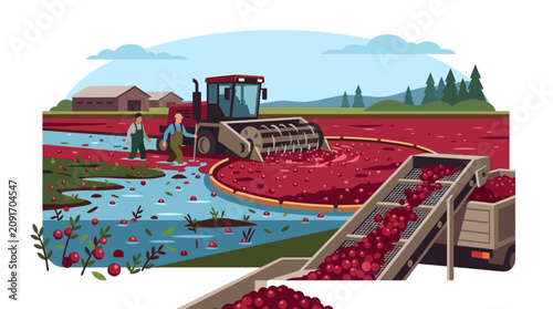 Fresh Red Cranberries Floating in Water During Autumn Harvest Season