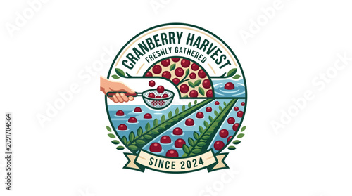 Fresh Red Cranberries Harvest Composition with Water Splashes and Organic Berries