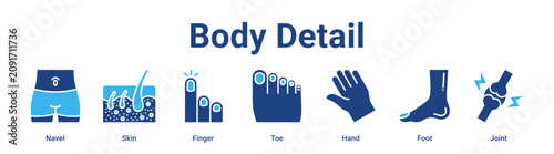 Body Detail web banner icon vector illustration concept for medical with icon of Navel, Skin, Finger, Toe, Hand.