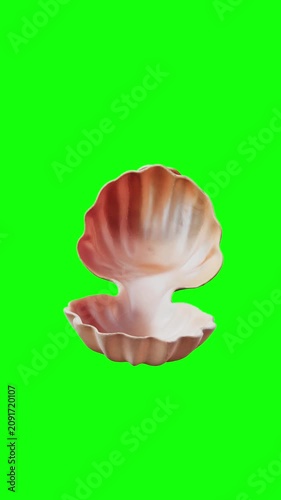 shell open animated on green screen background, vertical video