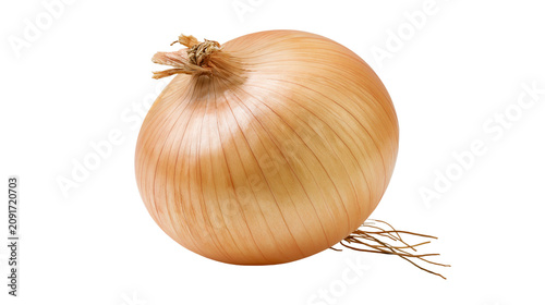 Whole yellow onion with dry papery skin and roots, isolated on transparent background