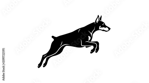 Foto Jumping Doberman Pinscher silhouette on white background.