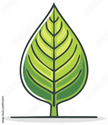 Stylized green leaf icon with veins and stem on a white background