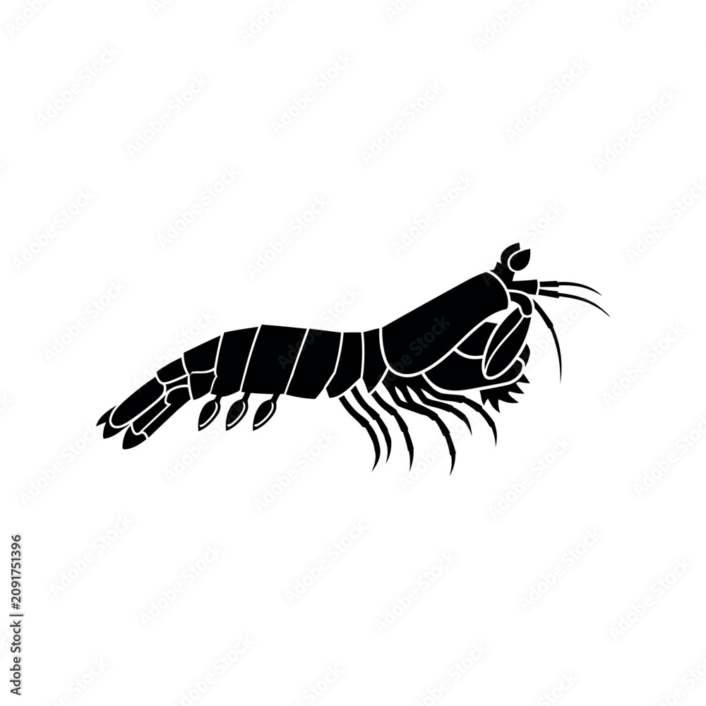 Fototapeta premium Detailed illustration of a shrimp.