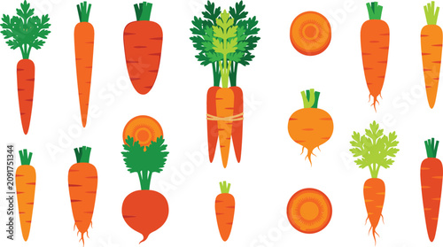 Bild auf Leinwand Fresh Orange Carrot Root Vegetable Icon Set with Whole Slices Bunch and Green To