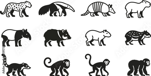 Canvas Print Collection of South American wildlife icons in a minimalist black and white style