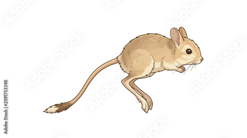 Cuadro en lienzo Desert Jerboa Jumping Illustration, Small Rodent Wildlife Animal
