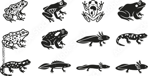 Bild auf Leinwand Set of black and white amphibians and reptiles silhouettes.