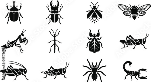 Cuadro en lienzo Set of black insect and arachnid silhouettes.