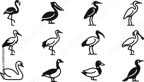 Bild auf Leinwand Collection of various water bird silhouettes and icons.