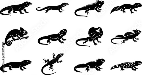 Bild auf Leinwand Set of black silhouettes of various lizards and reptiles.