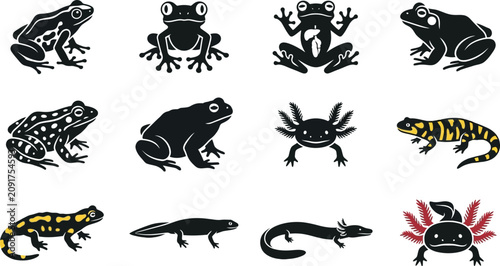 Tableau sur toile Collection of various amphibian species in black and white silhouette and color illustrations