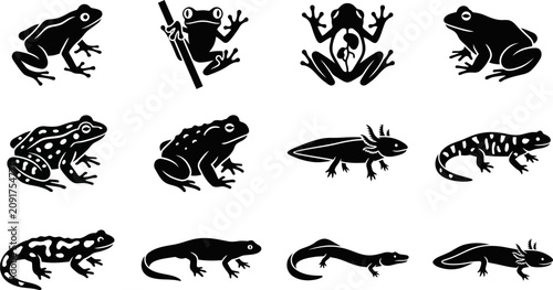 Foto Set of black silhouettes of frogs and salamanders and newts.