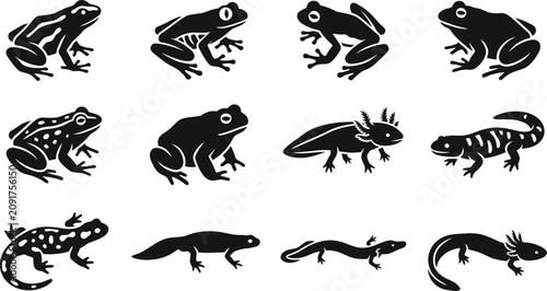 Canvastavla Collection of black and white amphibian icons and silhouettes.