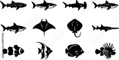 Photography Set of silhouettes of marine animals sharks and tropical fish.