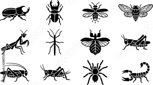 Fotografía Set of Various Insect and Arthropod Silhouettes.