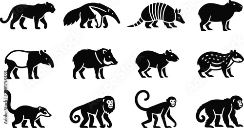 Quadro su tela Set of black silhouette icons of South American wildlife animals.