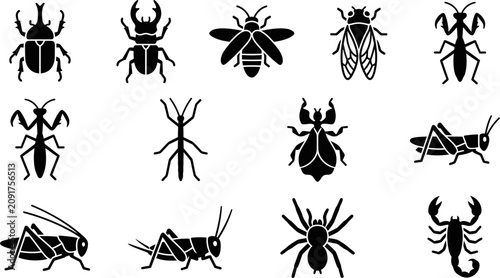 Tableau sur toile Collection of various insect and arachnid silhouette icons.