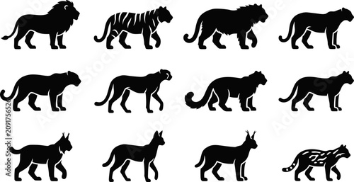Canvas Print Set of silhouettes of various wild cat species walking.