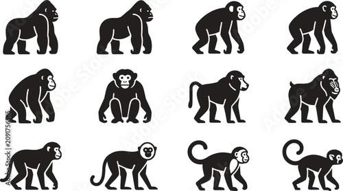 Tableau sur toile Set of black silhouette icons depicting various primate species including gorillas chimpanzees and monkeys