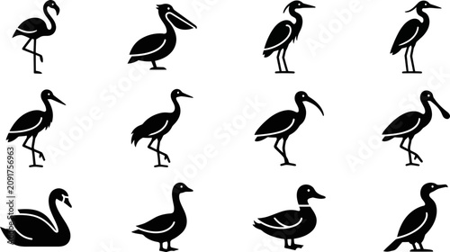 Bild auf Leinwand Collection of black bird silhouettes including waterfowl and wading birds