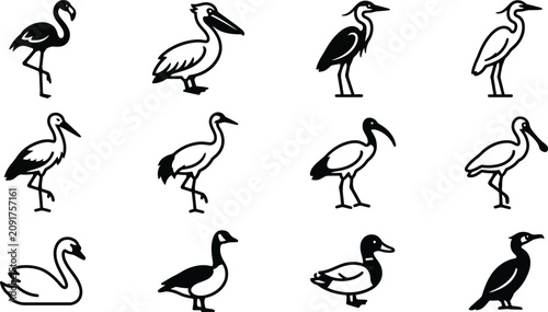 Bild auf Leinwand Set of various water bird icons and silhouettes collection.