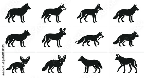 Schilderij op canvas Set of silhouettes of various wild canids and wolves.